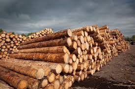 Massive Timber Market Fire Sparks